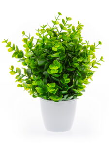 Предметная съёмка для маркетплейсов Wildberries Ozon ЯндексМаркет в Жуковский Раменское