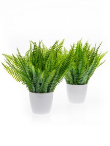 Предметная съёмка для маркетплейсов Wildberries Ozon ЯндексМаркет в Жуковский Раменское