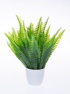 Предметная фотосъёмка Wildberries Lamoda Ozon Жуковский Московская область Раменское Москва в Раменском