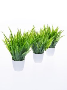 Предметная фотосъёмка для Wildberries Lamoda Ozon Раменское Жуковский в Жуковском Воскресенск Бронницы